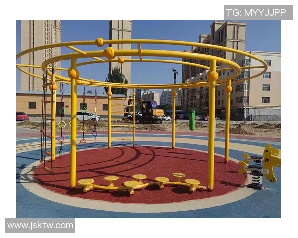 体育健身器材采购指南如何选择适合的设备提升健身效果与体验